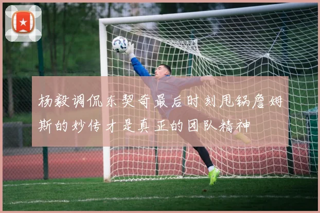 杨毅调侃东契奇最后时刻甩锅詹姆斯的妙传才是真正的团队精神