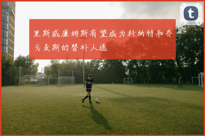 里斯威廉姆斯有望成为科纳特和乔戈麦斯的替补人选