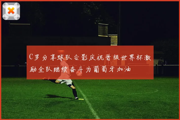 C罗分享球队合影庆祝晋级世界杯激励全队继续奋斗为葡萄牙加油