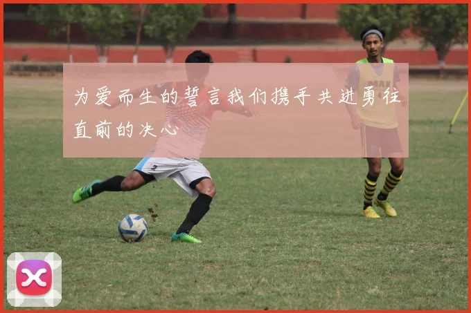 为爱而生的誓言我们携手共进勇往直前的决心