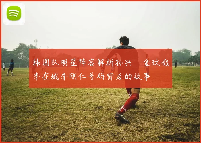 韩国队明星阵容解析孙兴慜金玟哉李在城李刚仁号码背后的故事