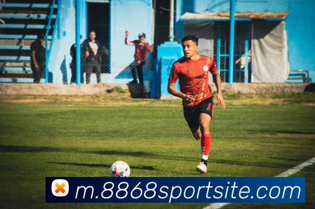 多媒体互动体验